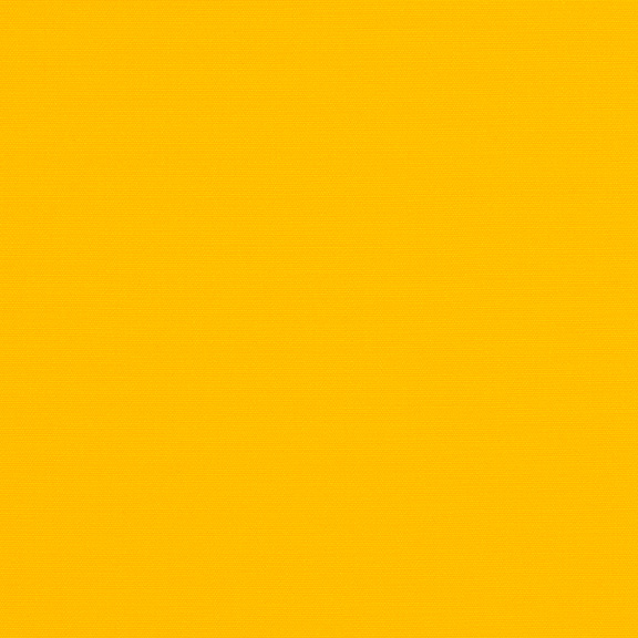 Sunbrella Awning - 46